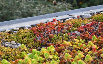 the cost of Eastwood End green roof installation