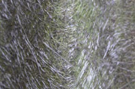 Eastwood End fibreglass roof work